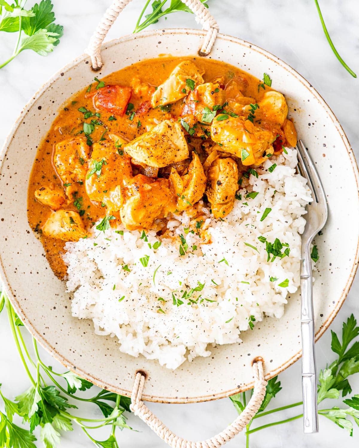 Chicken Curry with Rice